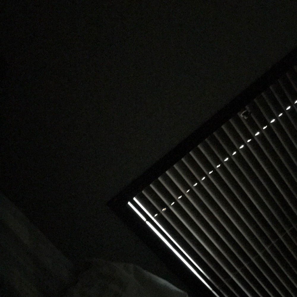 Meet your Posher, Ellie